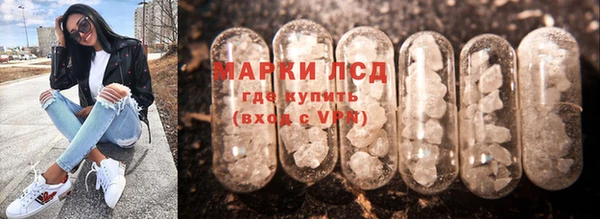 мяу мяу мука Магадан